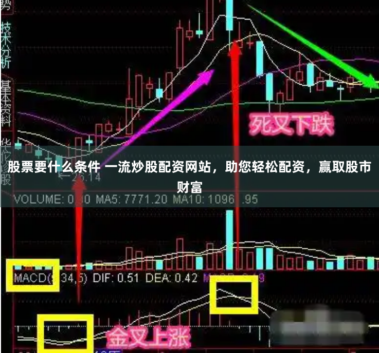股票要什么条件 一流炒股配资网站，助您轻松配资，赢取股市财富