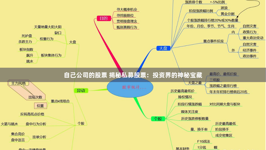 自己公司的股票 揭秘私募股票：投资界的神秘宝藏