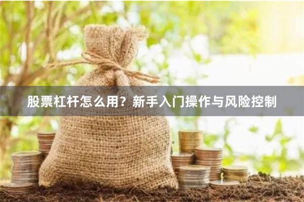 股票杠杆怎么用？新手入门操作与风险控制